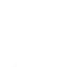 Needle